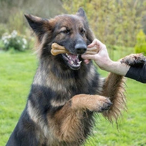 Meet your Posher, Rue